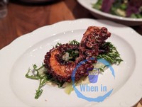 Mediterranean Octopus