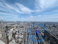 A View from Shibuya Sky